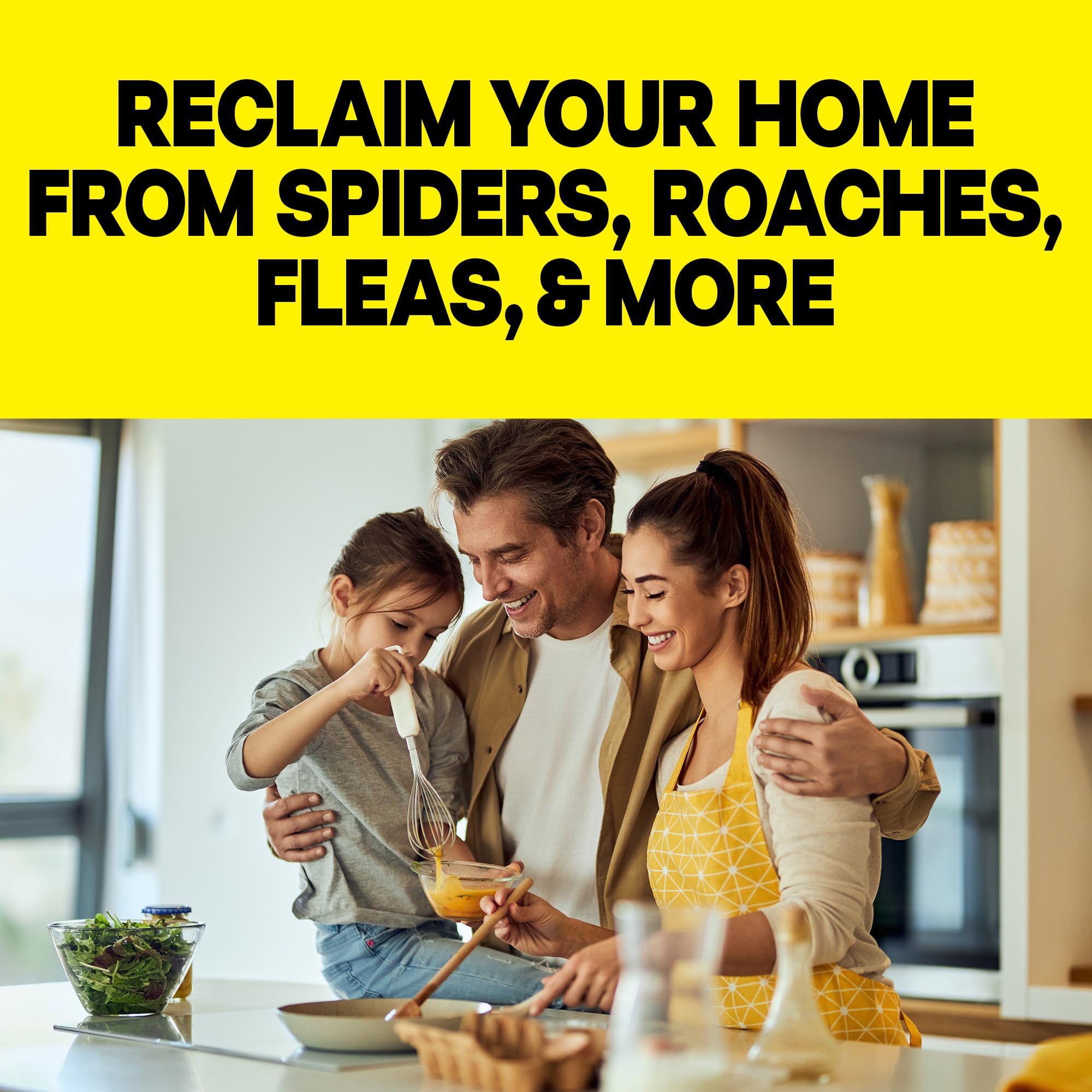 Raid Roach Fogger - Kill Roaches & Fleas -5