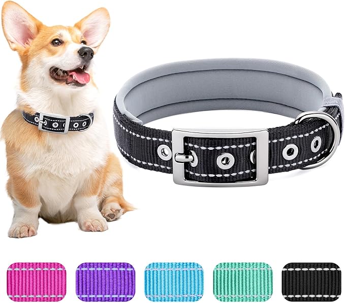 Collar Reflectivo para Perro Mediano Segarty, Ajustable de Neopreno miniatura 2