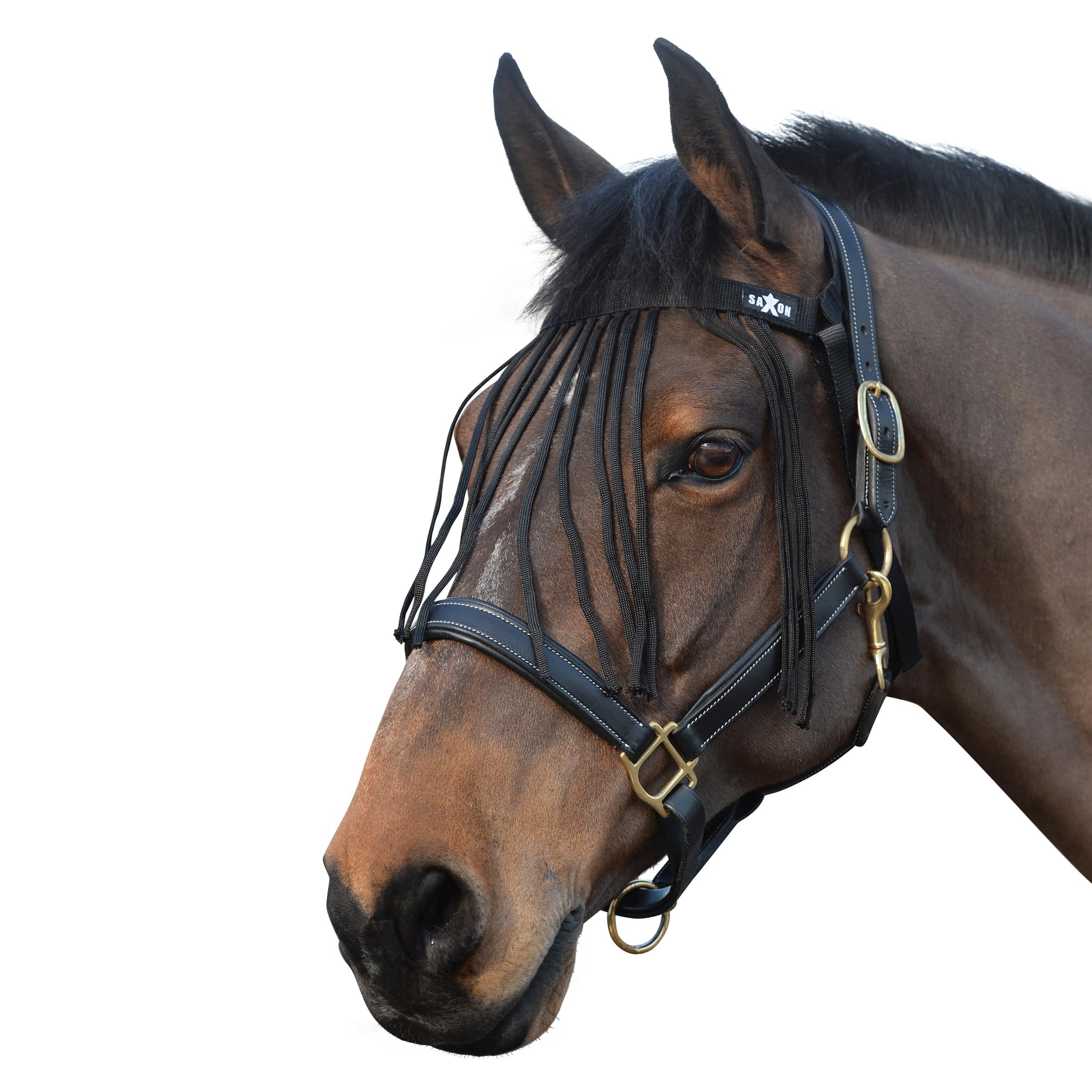 Saxon Fly Fringe, Black, Pony