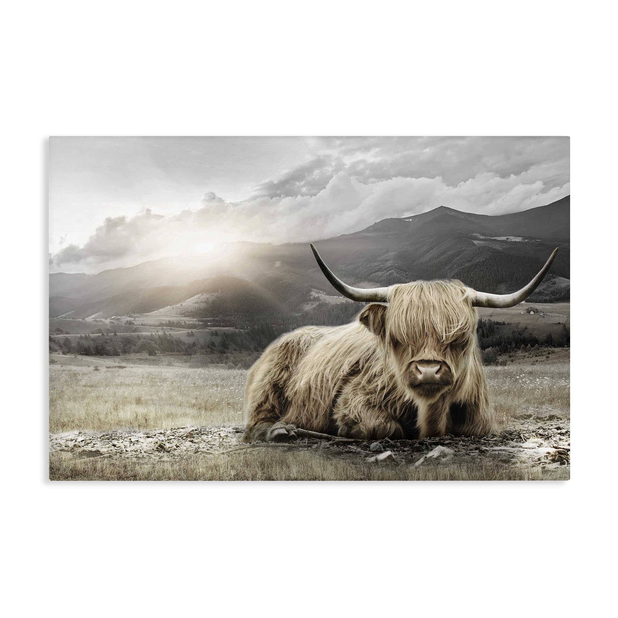 Stupell Industries Unframed 'Cattle Resting In Morning Sun'| Canvas Art