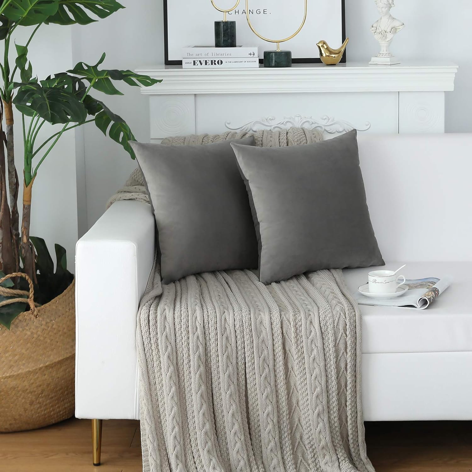 sykting Decorative Pillow Covers Solid Soft Cozy Velvet Throw Pillow Covers for Home New Year Christmas Decorations Pack of 2 18x18 inch Gray