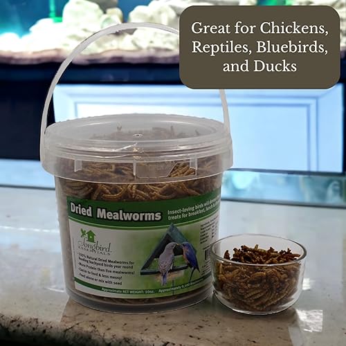 Vista 17 de Songbird Essentials Gusanos de harina secos para aves silvestres, gusanos de harina 100% naturales para pollos, pájaros azules, reptiles y patos