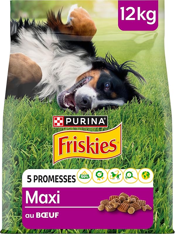 FRISKIES | Maxi | Chien | Croquettes pour Chiens Adultes de Grande Taille | au Boeuf | Source de protéines de Haute qualité | Sac | 12 KG