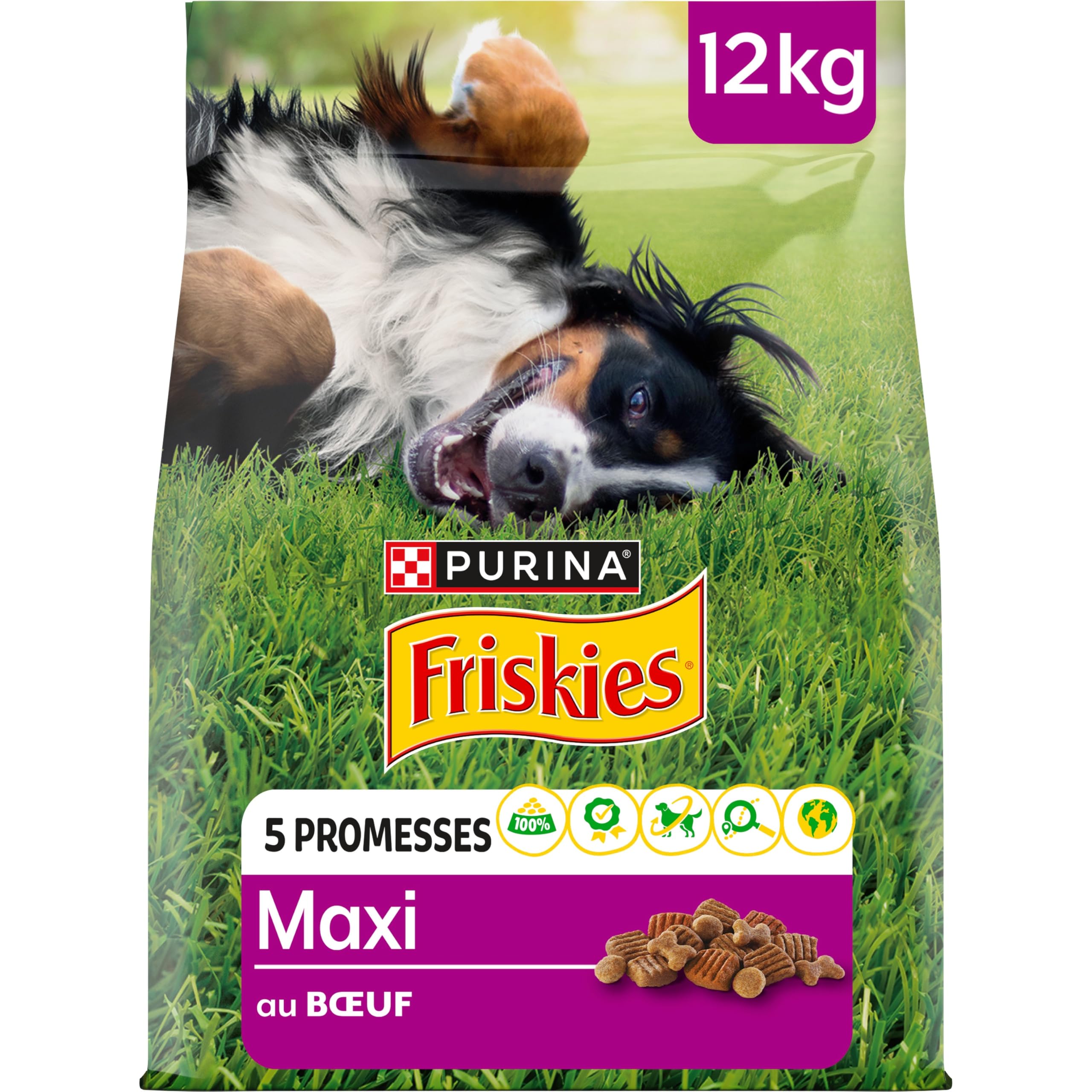 FRISKIES | Maxi | Chien | Croquettes pour Chiens Adultes de Grande Taille | au Boeuf | Source de protéines de Haute qualité | Sac | 12 KG
