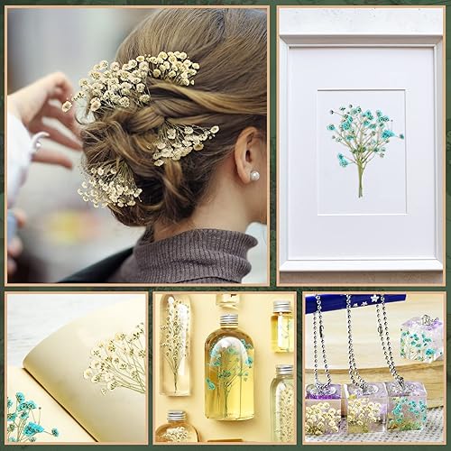 Miniatura 5 de 200 Piezas Flores Secas Prensadas Baby's Breath Ramas Naturales de Gypsophila Ramo de Gypsophila para Bodas Manualidades DIY Decoración del Hogar