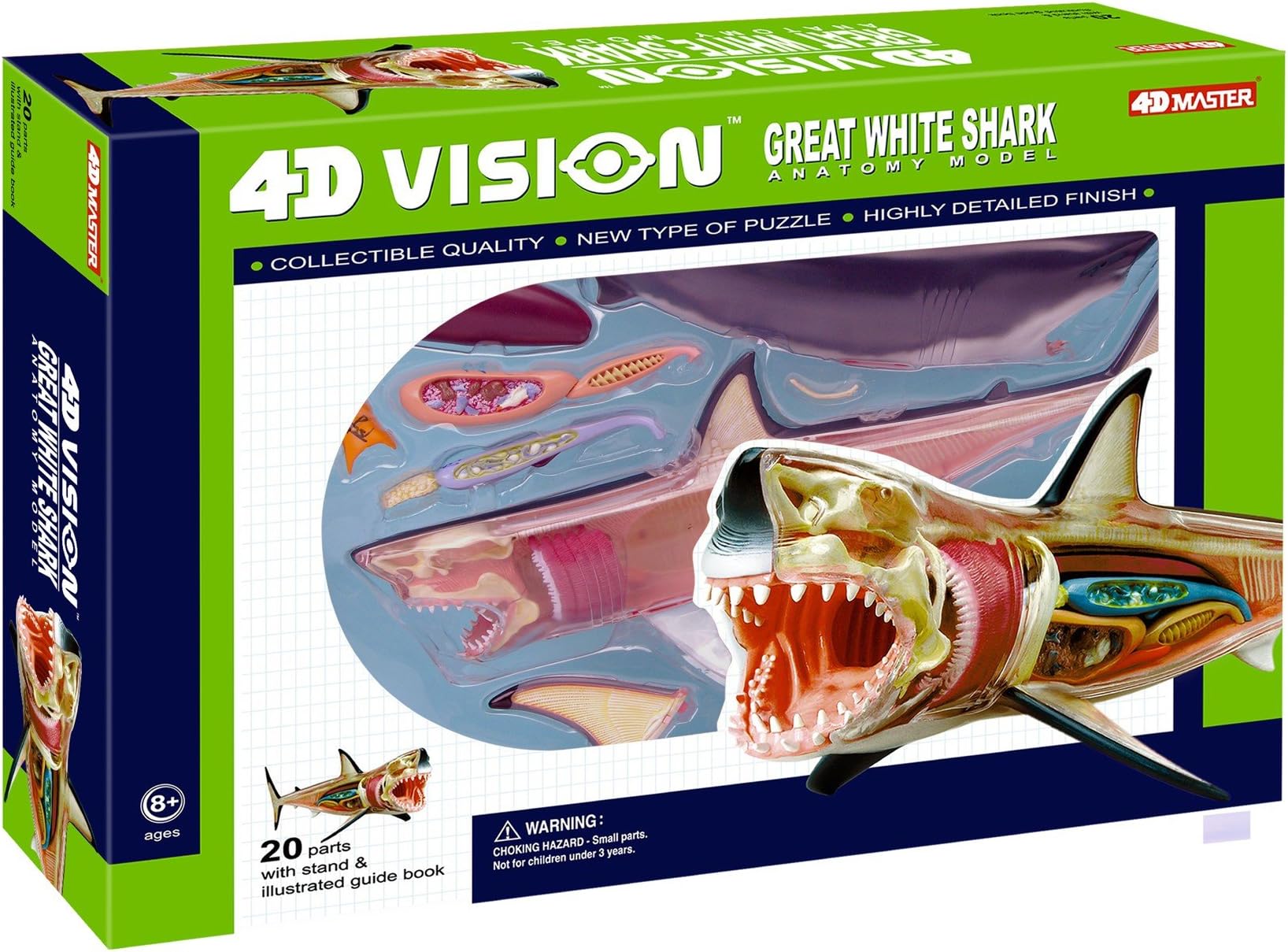 4D Vision Great White Shark Anatomy Model