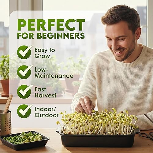 Miniatura 4 de Nature Jims Mung Bean Sprout Seeds – Semillas germinantes de 16 onzas – Semillas de frijol Mung Premium – Sin OMG – Bolsa resellable para una