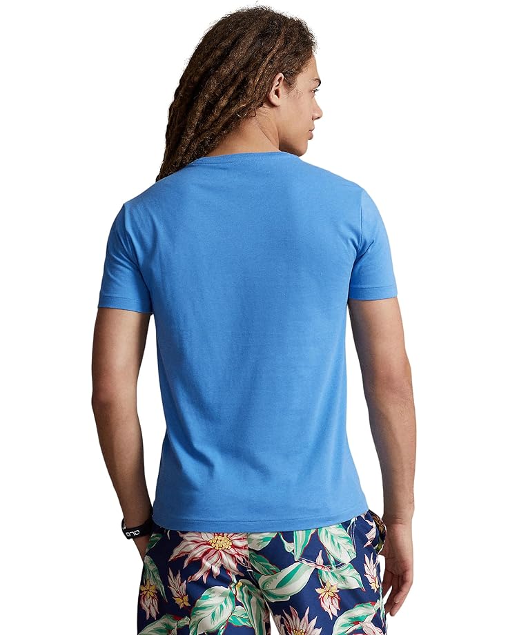 Men's Polo Ralph Lauren Classic Fit Jersey V-Neck T-Shirt | Zappos.com