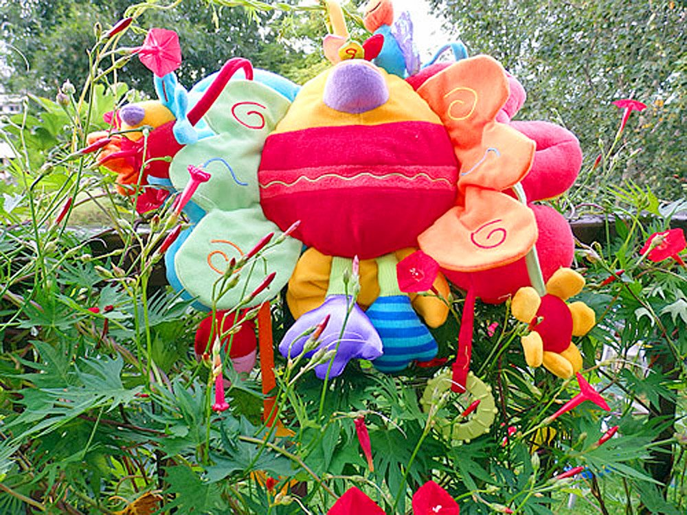 【ぴ】ことりのおおきなあそびば ことりのおおきなあそびば 文鳥 インコ バードジム バード