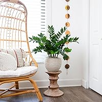 Vista 4 de Nearly Natural Planta artificial de zamioculcas de 28 pulgadas con maceta decorativa