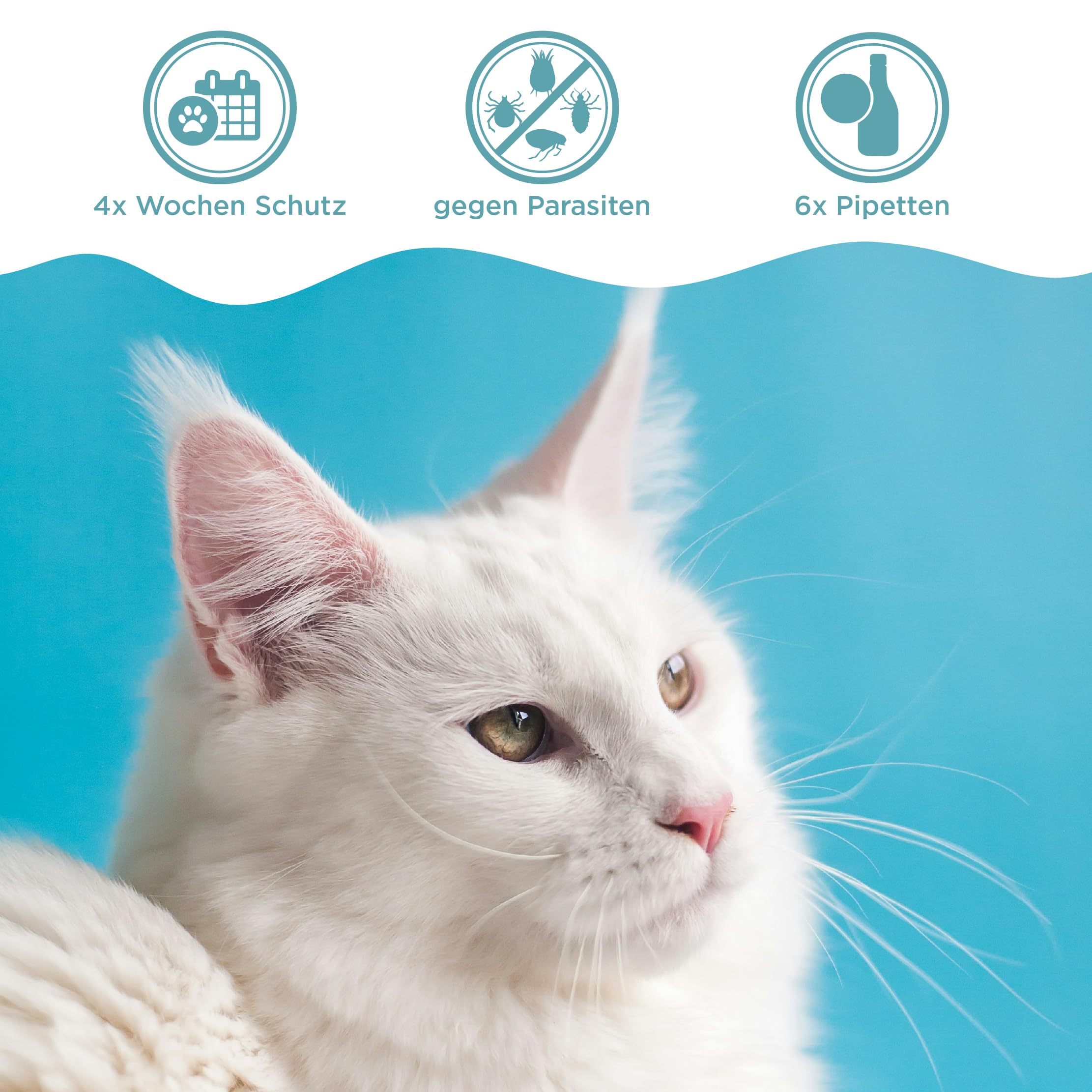 OptiPet Spot On 18x1ml Pipetten für Katzen, Hochwirksam bis zu 72 Wochen gegen Milben, Flöhen, Zecken, Läusen