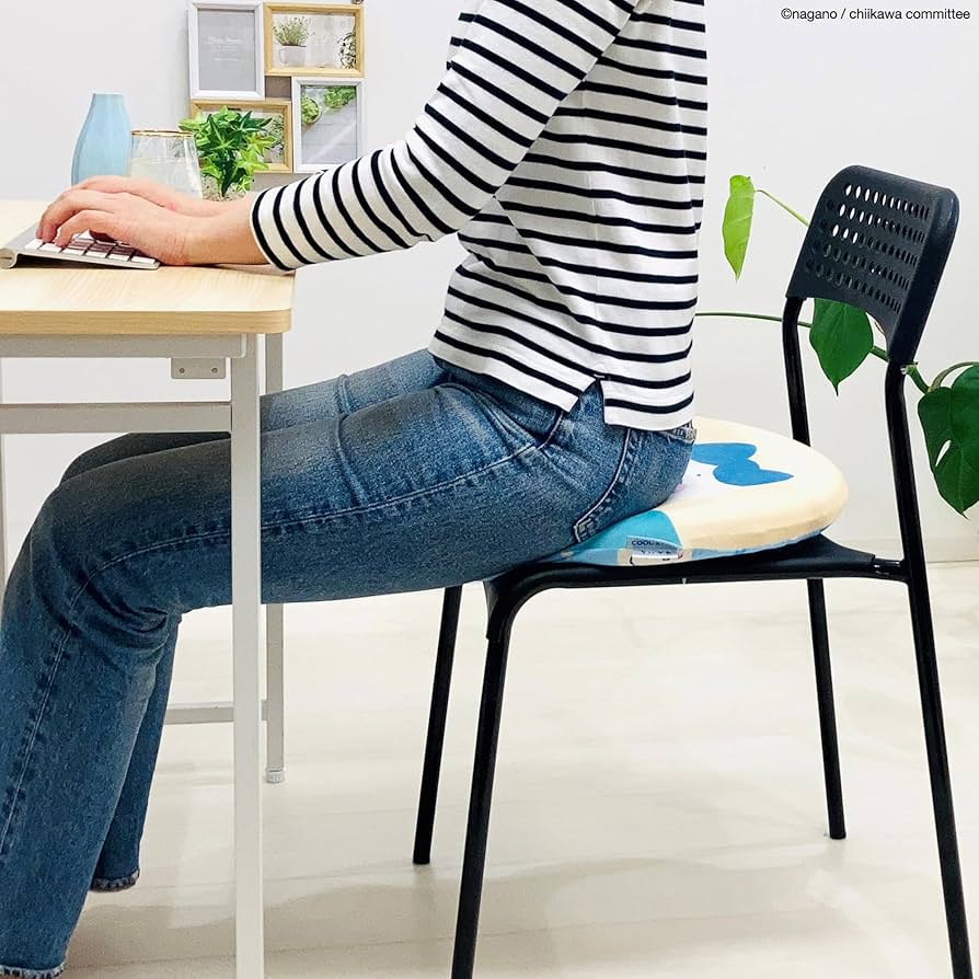 Amazon.co.jp: MORIPiLO 4621392 Chiikawa Chiikawa Hachiware