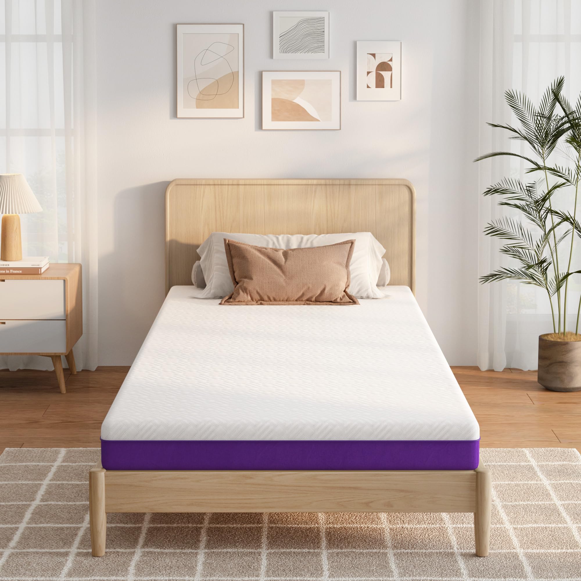 Wellynap 6 Inch Mattress