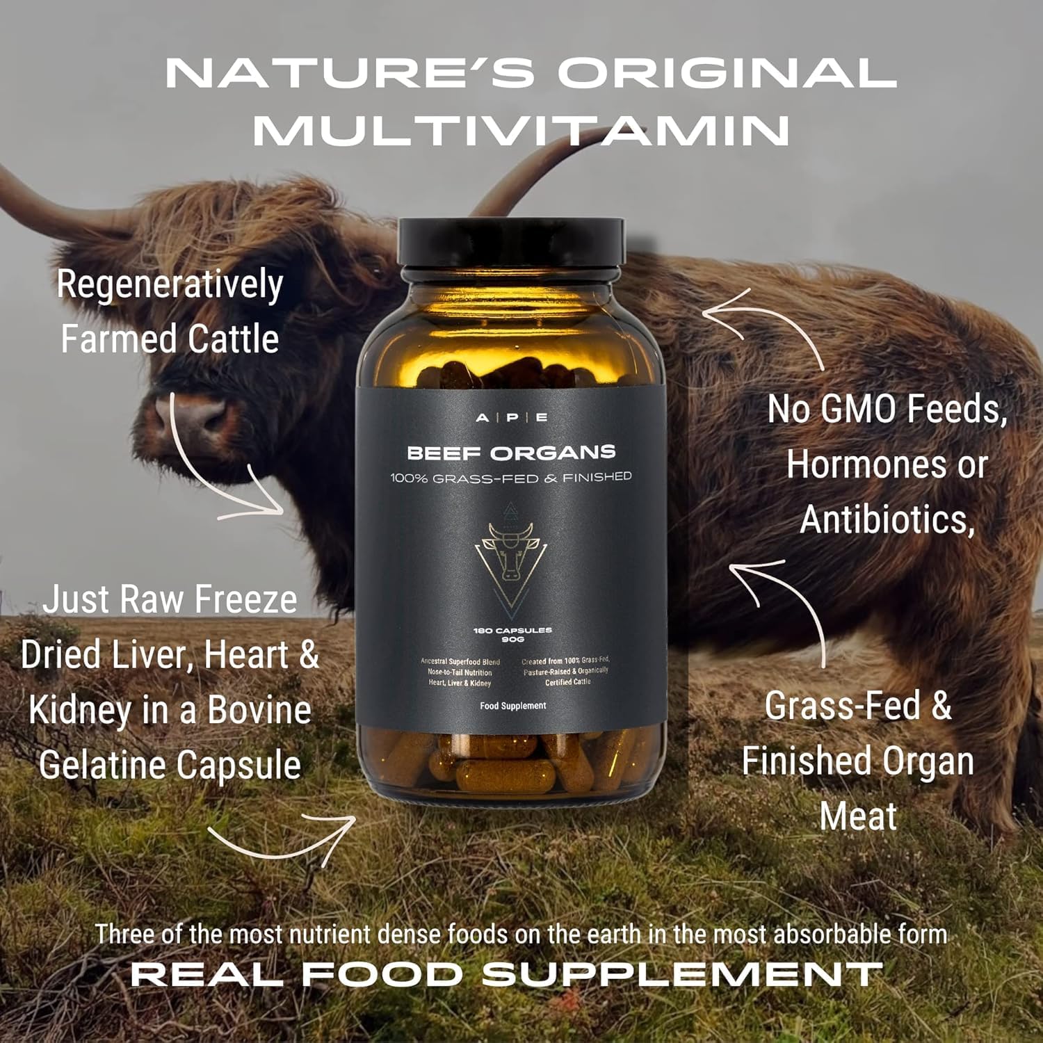APE Nutrition Beef Organs Grass Fed – Liver Kidney Heart Organ Capsules, Ancestral Supplement UK, 100% Grass Fed & Finished, No Antibiotics Hormones or GMOs, 180 500mg Capsules