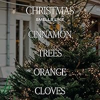 Vista 2 de Sweet Water Decor - Juego de Difusores de Aroma de Navidad con Varillas - Árboles de Navidad Cortados Recién, Naranja y Clavos - Difusor de Aroma