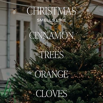 Sweet Water Decor Christmas Candle Gift, Holiday Scented 9oz Clear Jar | Cinnamon, Christmas Trees, Orange & Clove Scented Non-Toxic Soy Wax Candle, Gold Lid, 40+ Hour Burn Time, Poured in USA