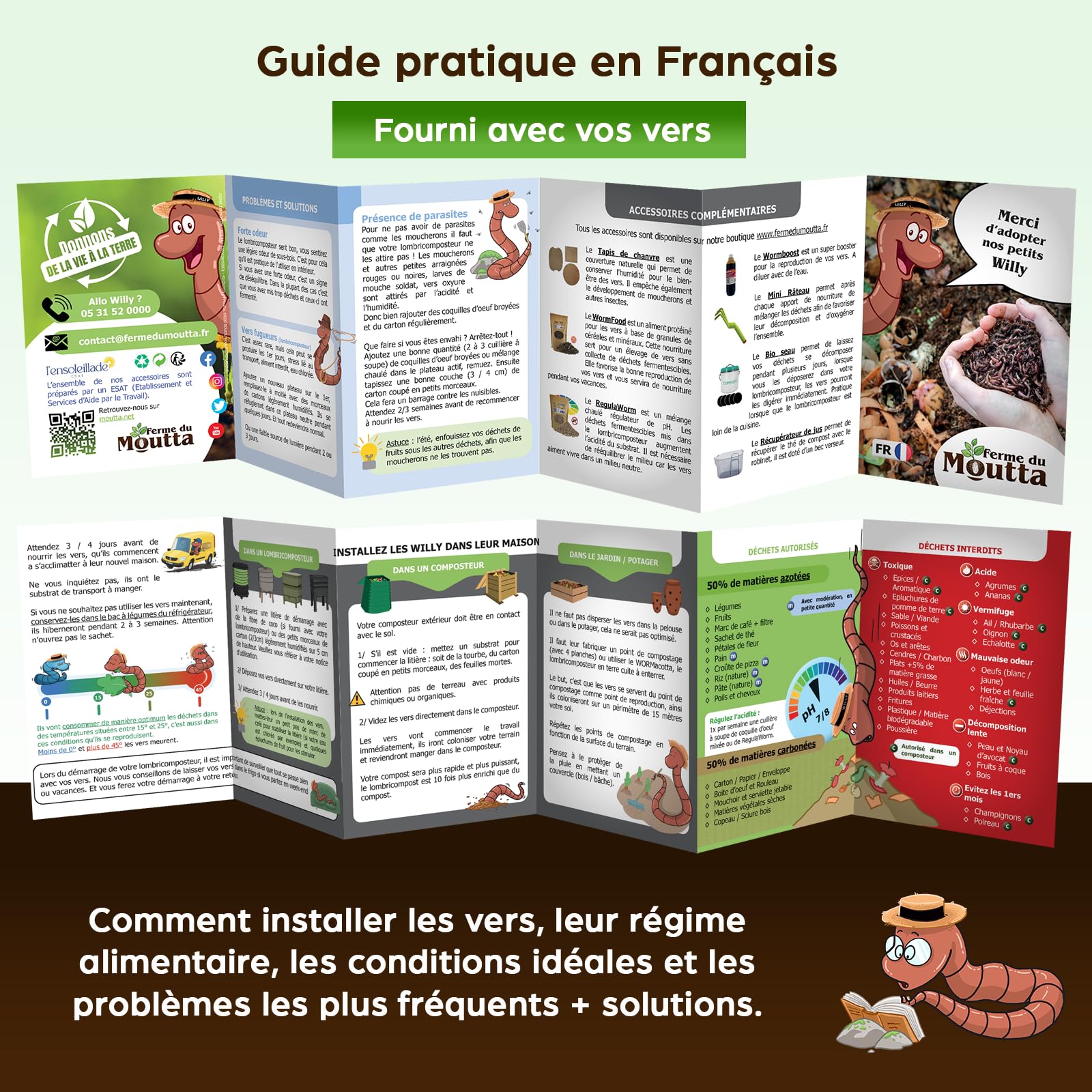Moutta | 250 gr de Vers de Compost (≃ 500 pcs) | Vers de terre vivants Eisenia, compostez vos déchets organiques - Pour lombricomposteur/composteur/jardin