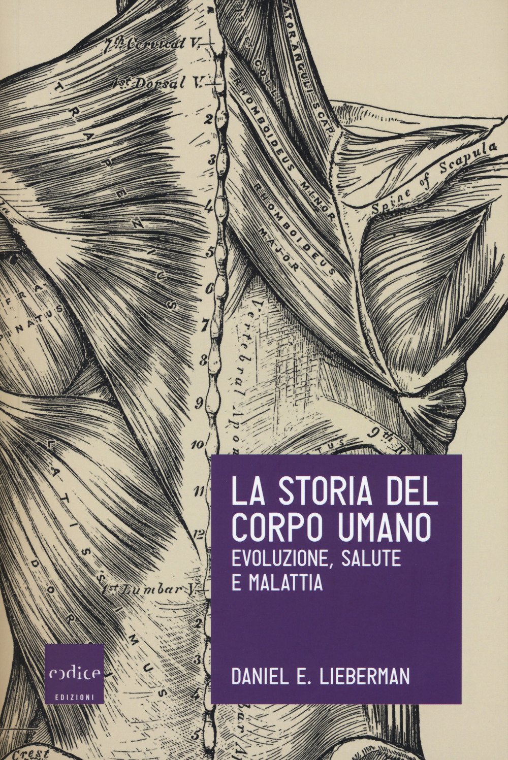 La Storia Del Corpo Umano. Evoluzione, Salute E Malattia - 4