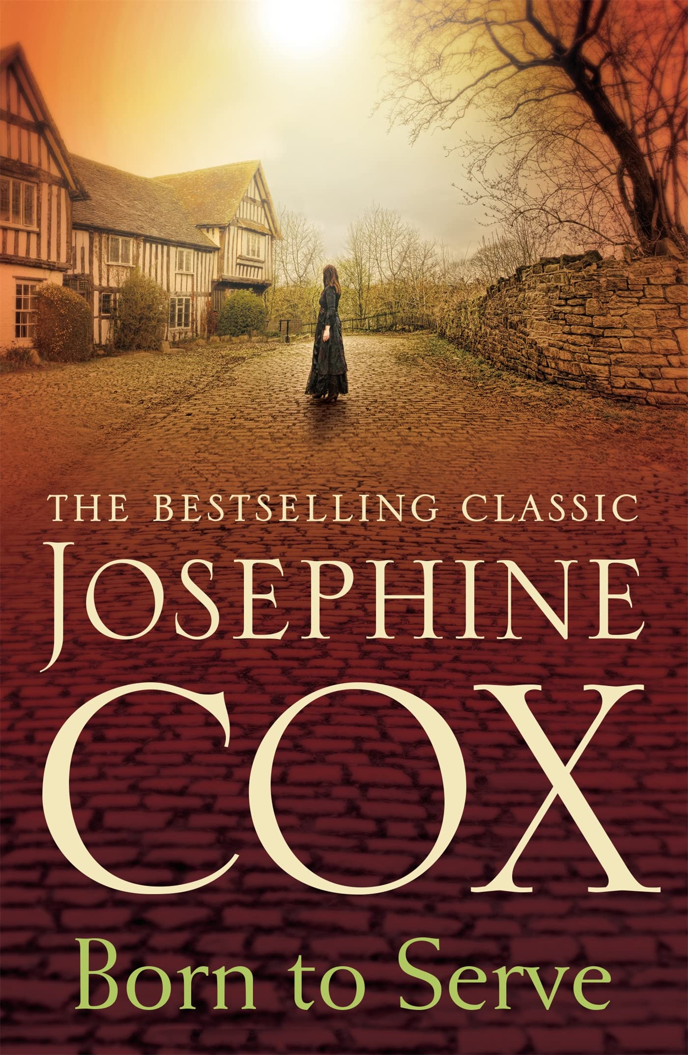 Born to Serve by Josephine Cox - 9781472230669