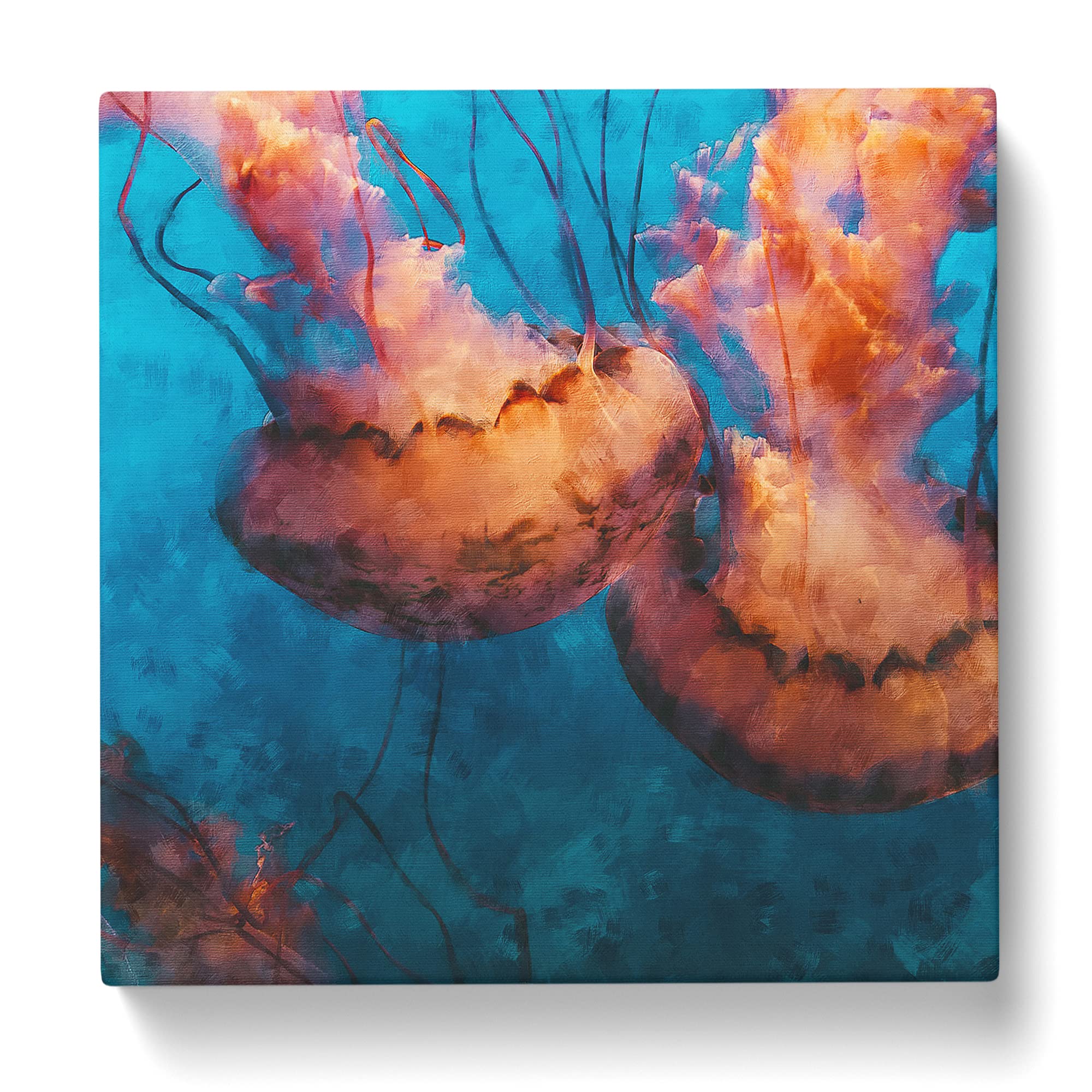 Pink Jellyfish Canvas Print, Mixed, 35L x 35W cm - Image 2