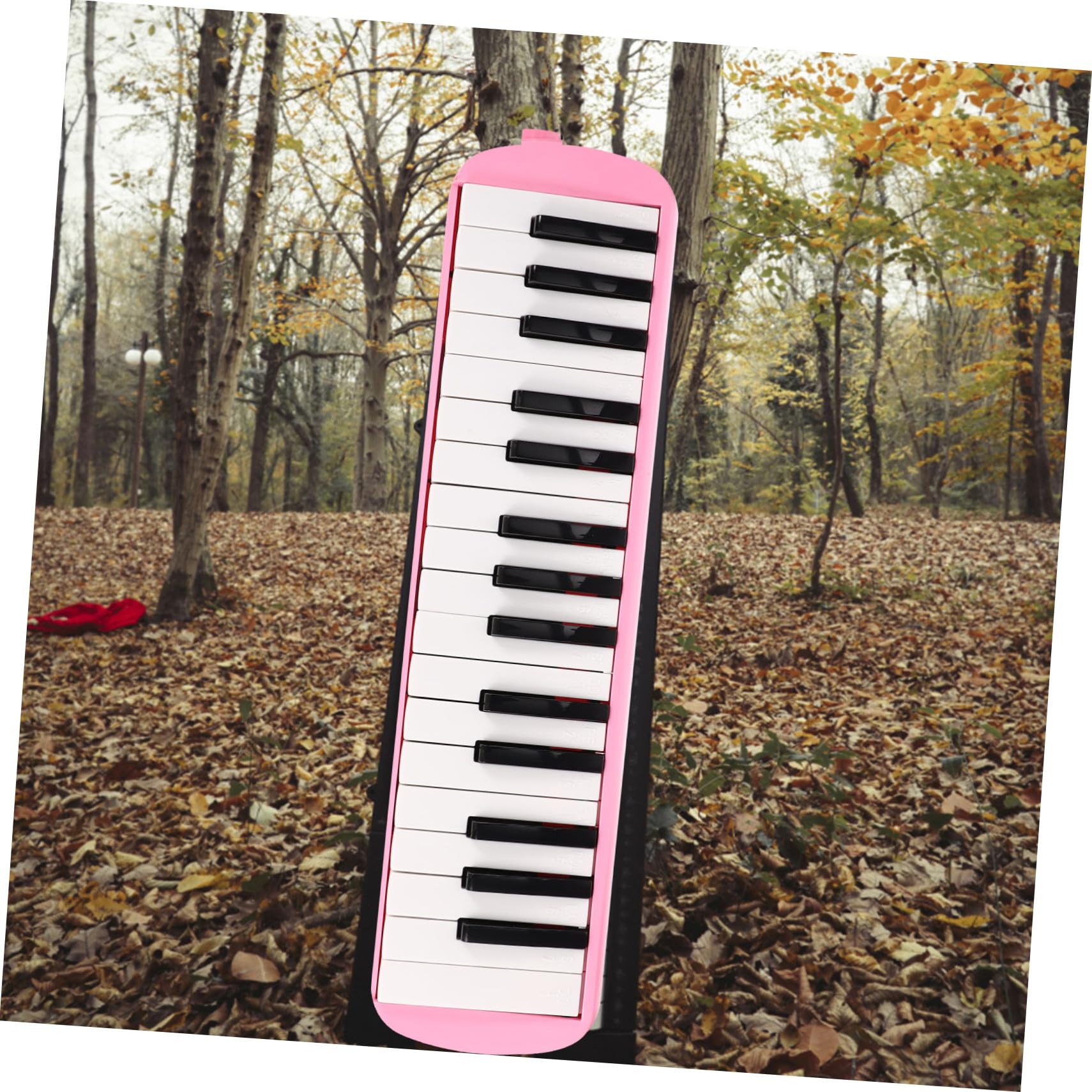 Melodica Rosa 32 Tasti per Principianti e Adulti Bocchini | Abs Plastico e Nailon, Facile da Usare, Qualità Sonora Precisa, per Compleanno e Natale Bambini