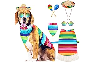 Cinco De Mayo Dog Outfits: Festive Fiesta Wear for Your Furry Friends