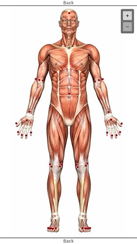 Body Laser System - Doctor App
