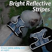Vista 263 de rabbitgoo Arnés y correa para caminar, a prueba de escapes, chaleco suave y ajustable para gatos, fácil de controlar, transpirable, tiras