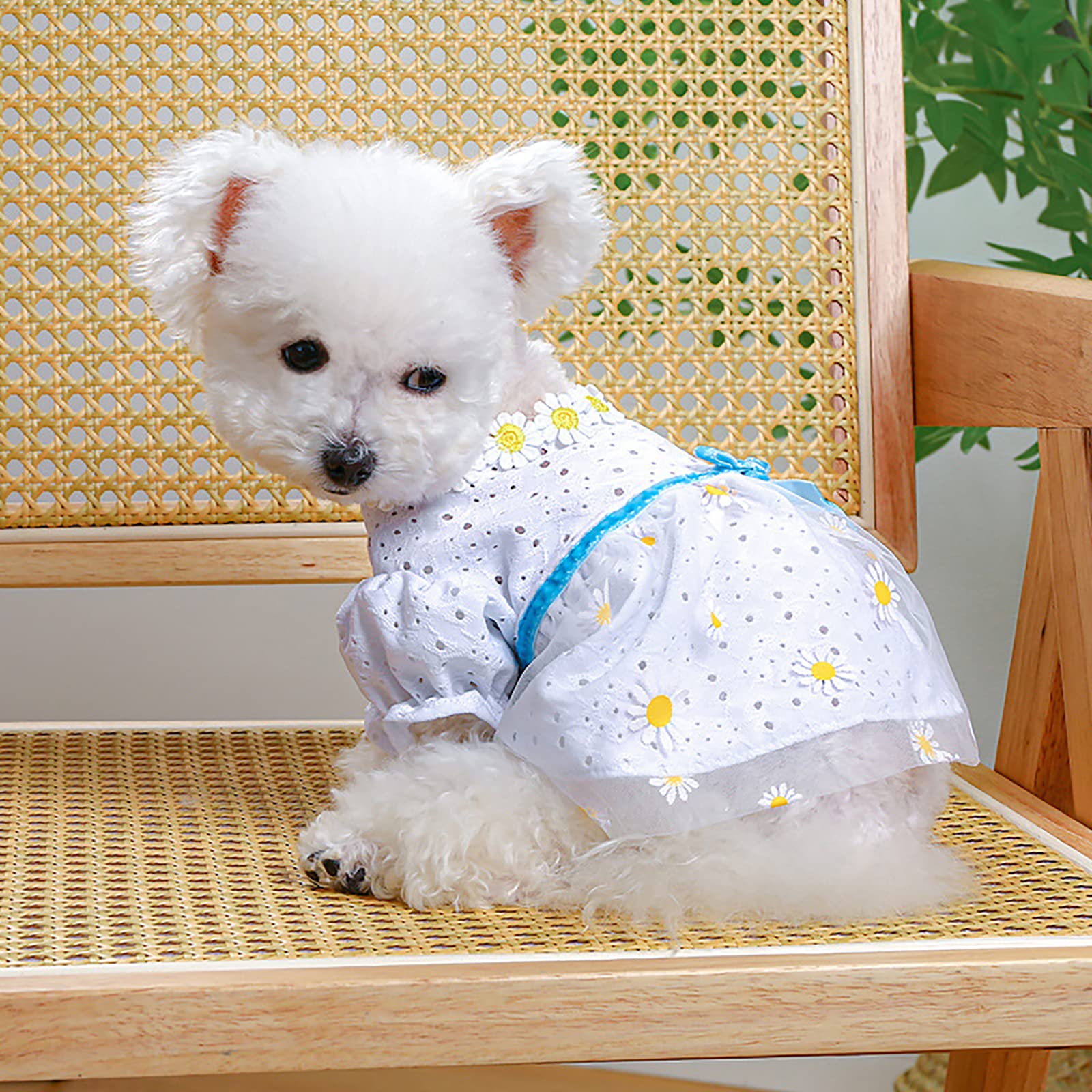 Dog Clothes for Small Dogs Girl Puppy Floral Dress Summer Dog Cute Princess Bowknot Dress Outfits Female Dog Cat Holiday Sundress Yorkies Chihuahua