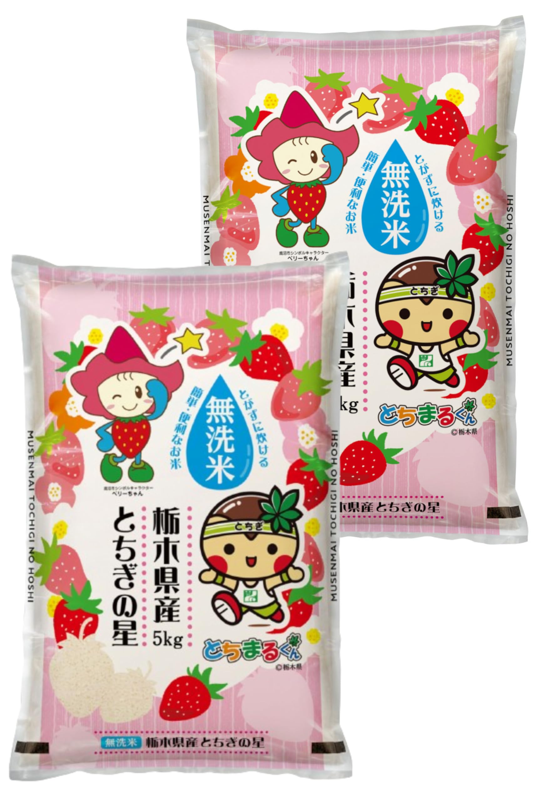 令和5年米 栃木産「とちぎの星」 1袋 30kg 【公式通販】