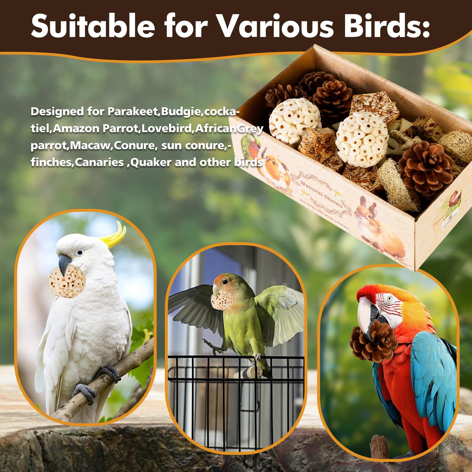 Bird Toys Bird Toys Box Bird Foraging Toys Bird shredding Toys Budgie Toys Conure Toys Cockatiel Toys Parrot Toys Parakeet Toys Bird cage Accessories Cockatiel Budgie Parakeet Conure African Grey - image 4
