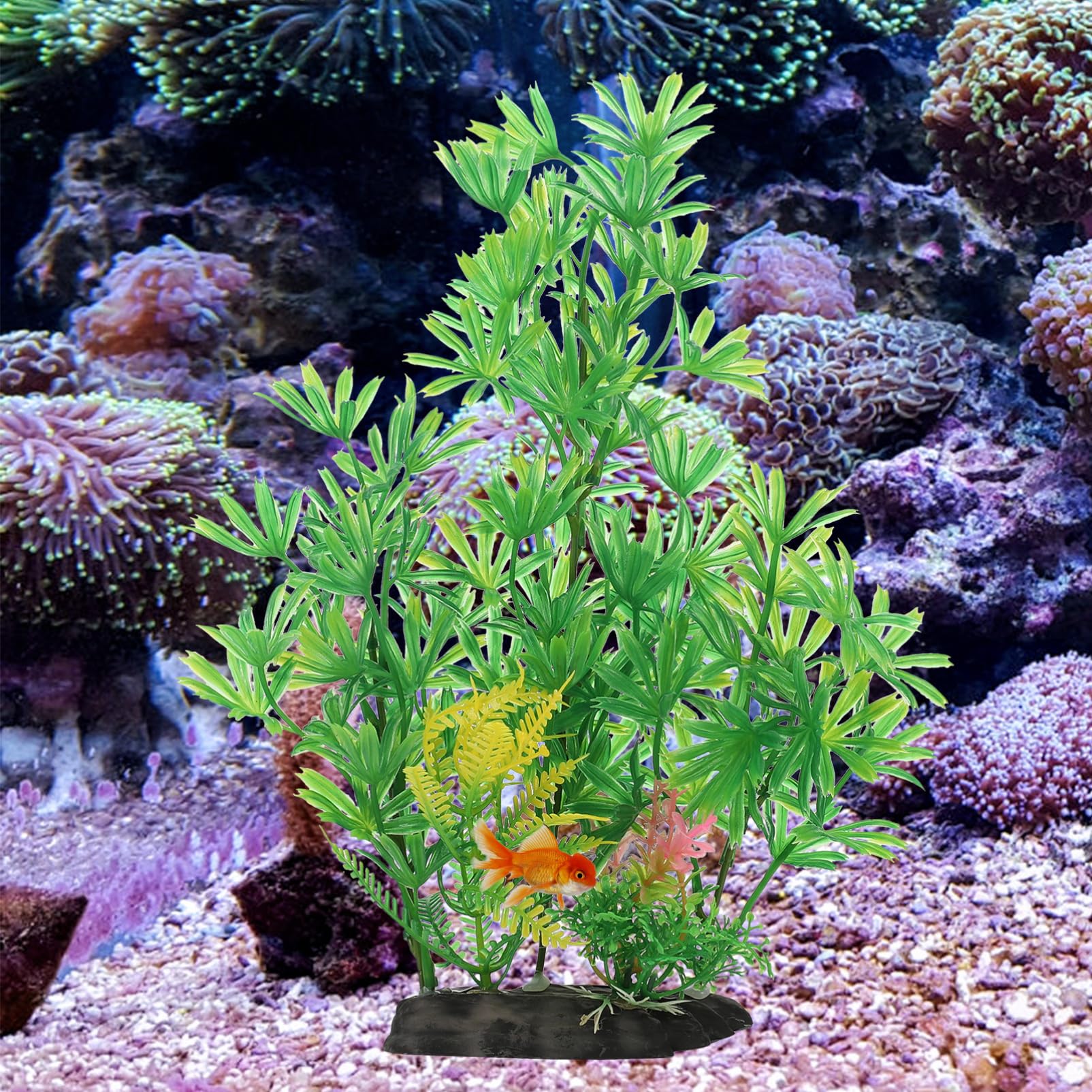 Happyyami 3 Juegos Paisajismo del Acuario Accesorios para Acuarios De Plantas Acuaticas De Agua Dulce Decoración Plantas De Artificiales El Plastico 2 Piezas * 3