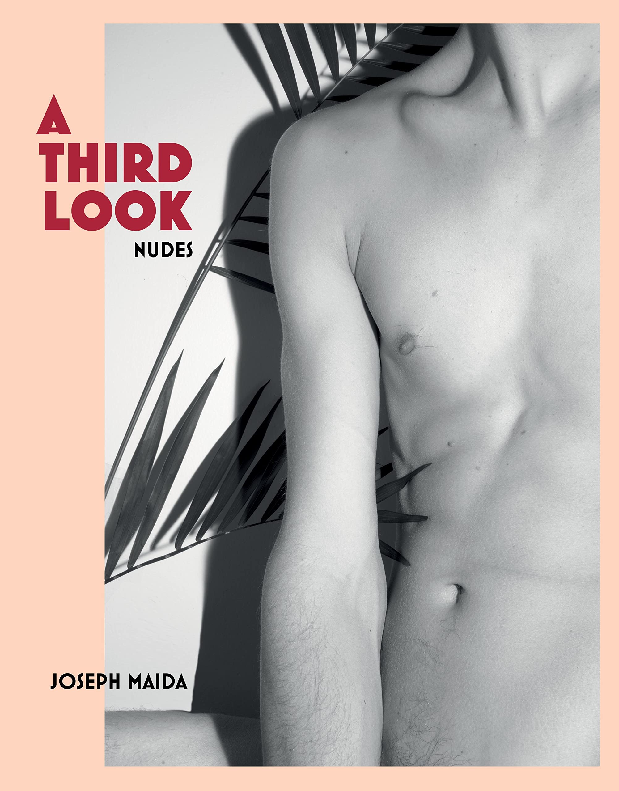 A Third Look: Nudes livre d'art et album photo d'art contemporain