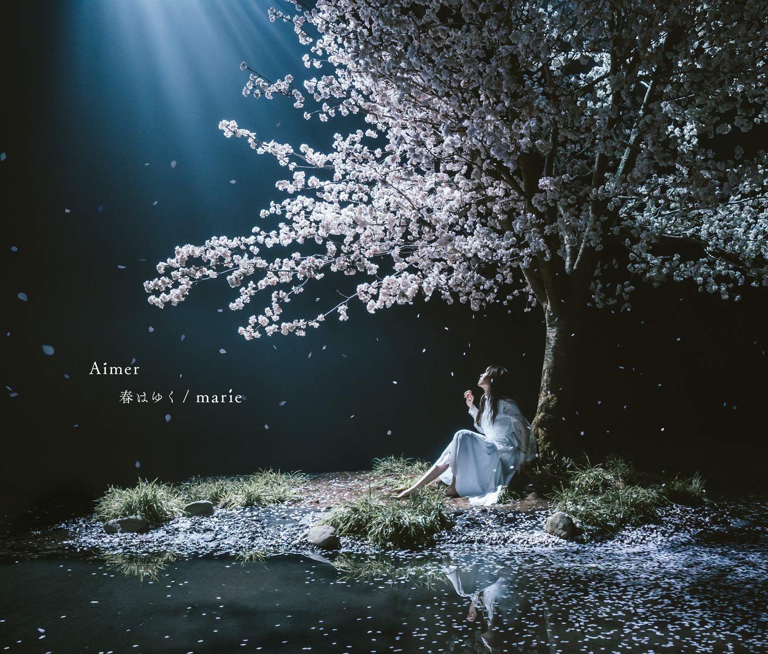Aimer / 春はゆく★初回限定盤 ★限定　直筆サイン入りジャケットカード付き 81t9-XUDRhL.jpg
