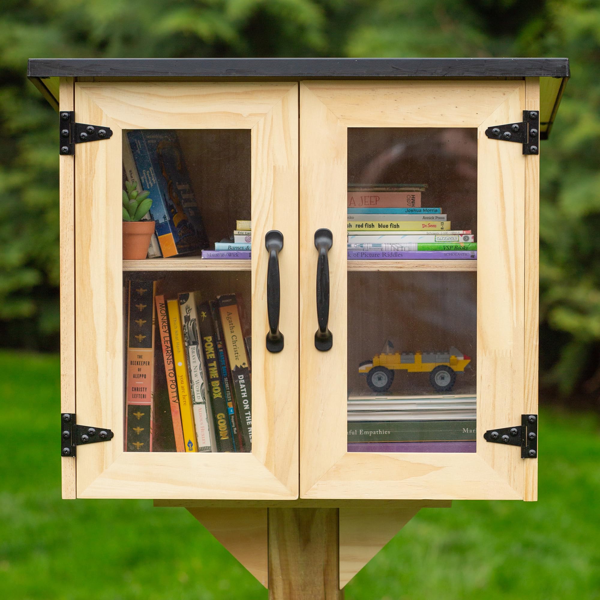 Amazon.com: Ilyapa Outdoor Library Book Box - Free Literature