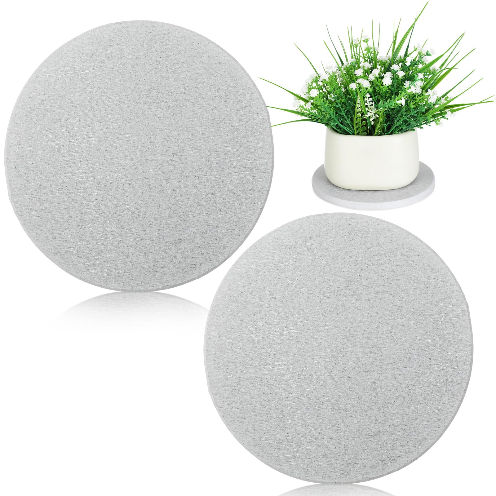 Baderke 2 Pcs Diatomite Plant Saucer Round Water Absorbent Plant Coasters Plants Diatomaceous Earth Mat Kitchen Absorbent Pad Diatomaceous Tray