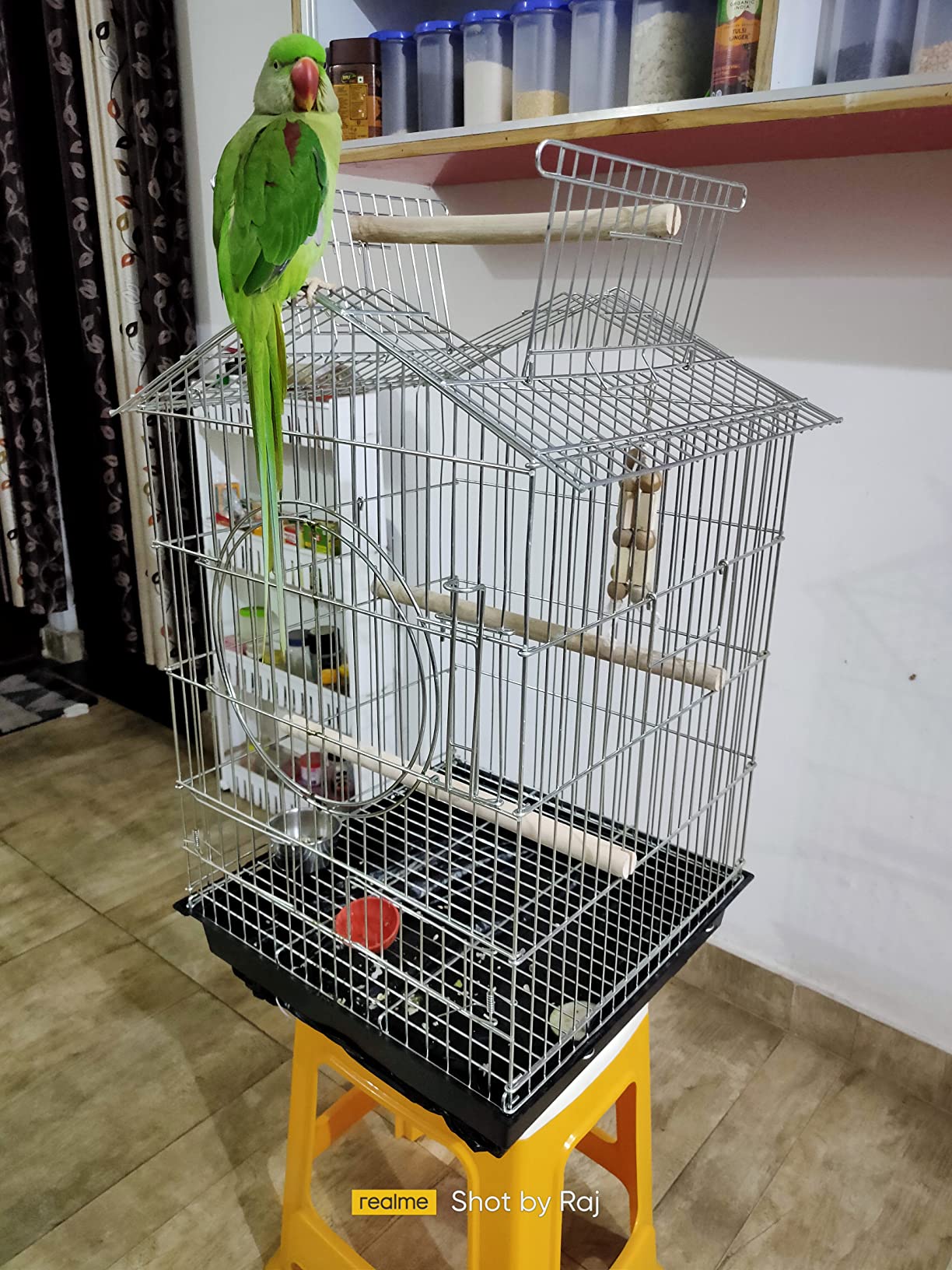 Foldable Chrome Color Bird cage for Macaw, Green Parrot and All Big ...