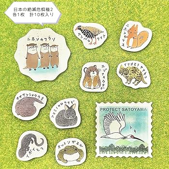 ばななざるページ Amazon | シール堂 日本製 バナナペーパーフレークシール Shinzi