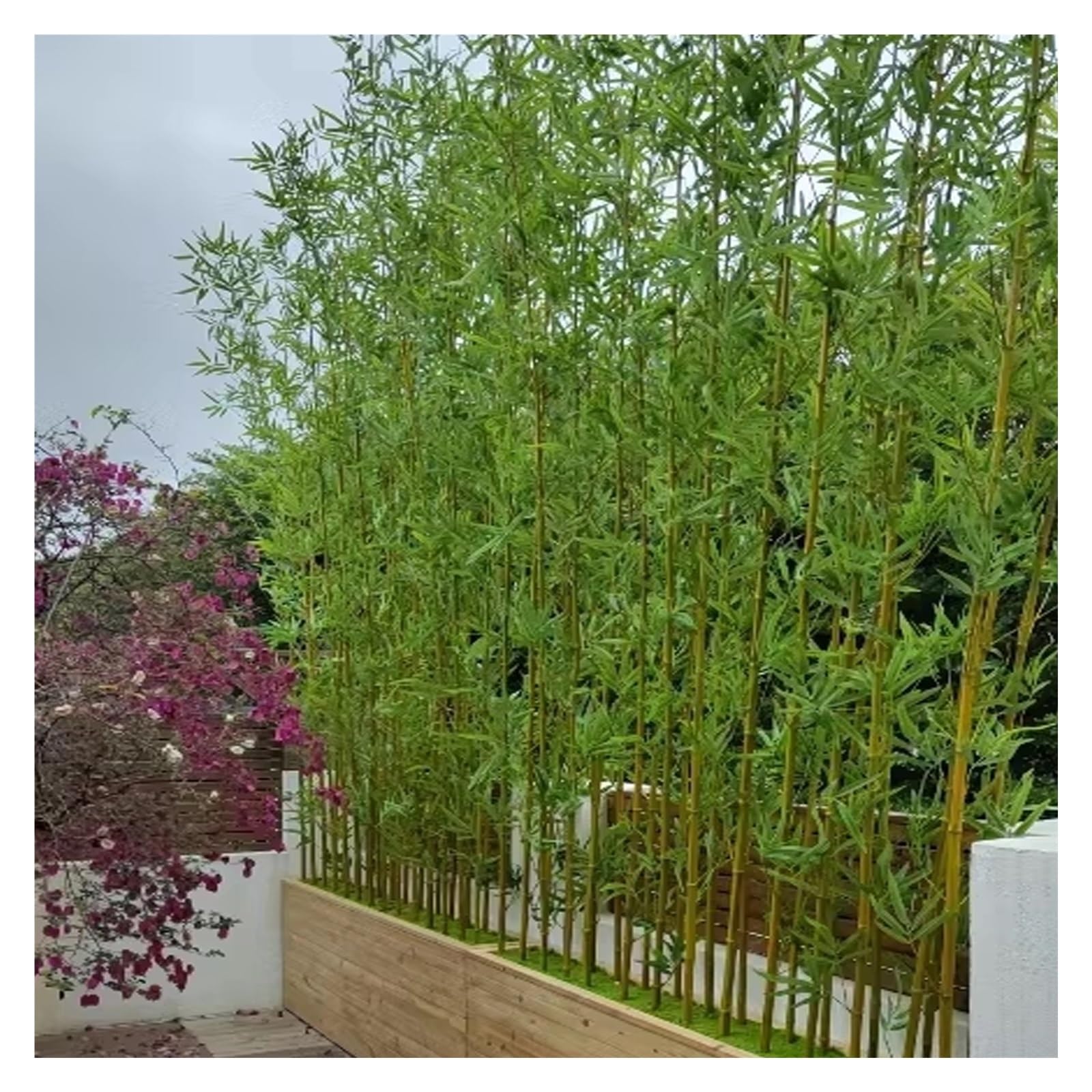 Amazon.de: Bambus Kunstpflanze Kunstbaum Knstlicher Bambus Bume Trennwand  Sichtschutz Zaun, Outdoor-Simulation Baum Shop Dekoration fr Hofeinfahrt  Terrasse Ornamental, 100 150 180 200cm hoch ( Color : 1m/3.3f