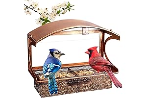 Bird Feeder for Window Sill, No-Hassle Bird Watching Essential