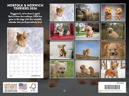 Vista 332 de Calendario Goldendoodle 2026 Golden Doodle mensual de pared calendario de 12 meses Fabricado en Estados Unidos