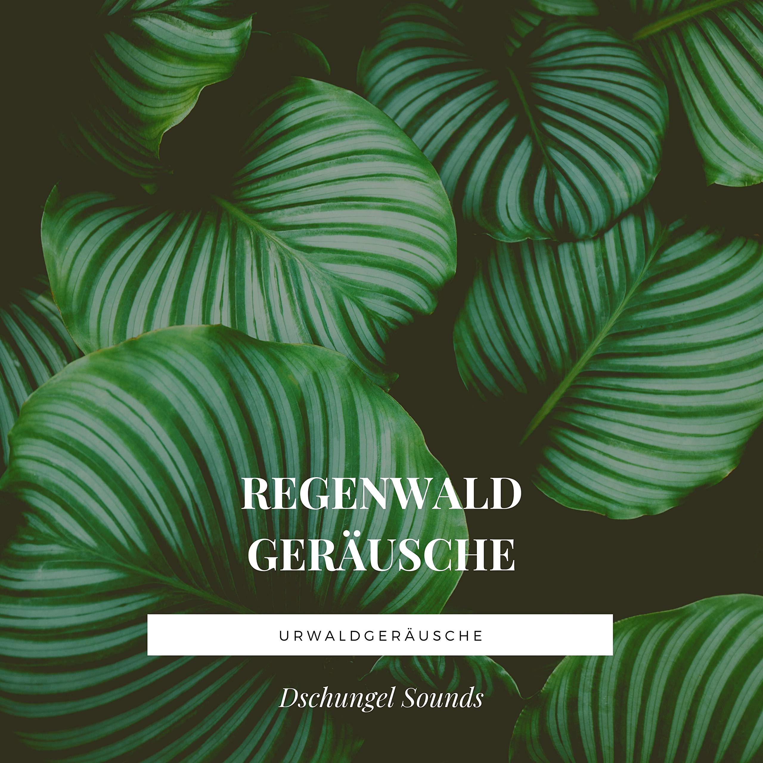 Regenwalddusche