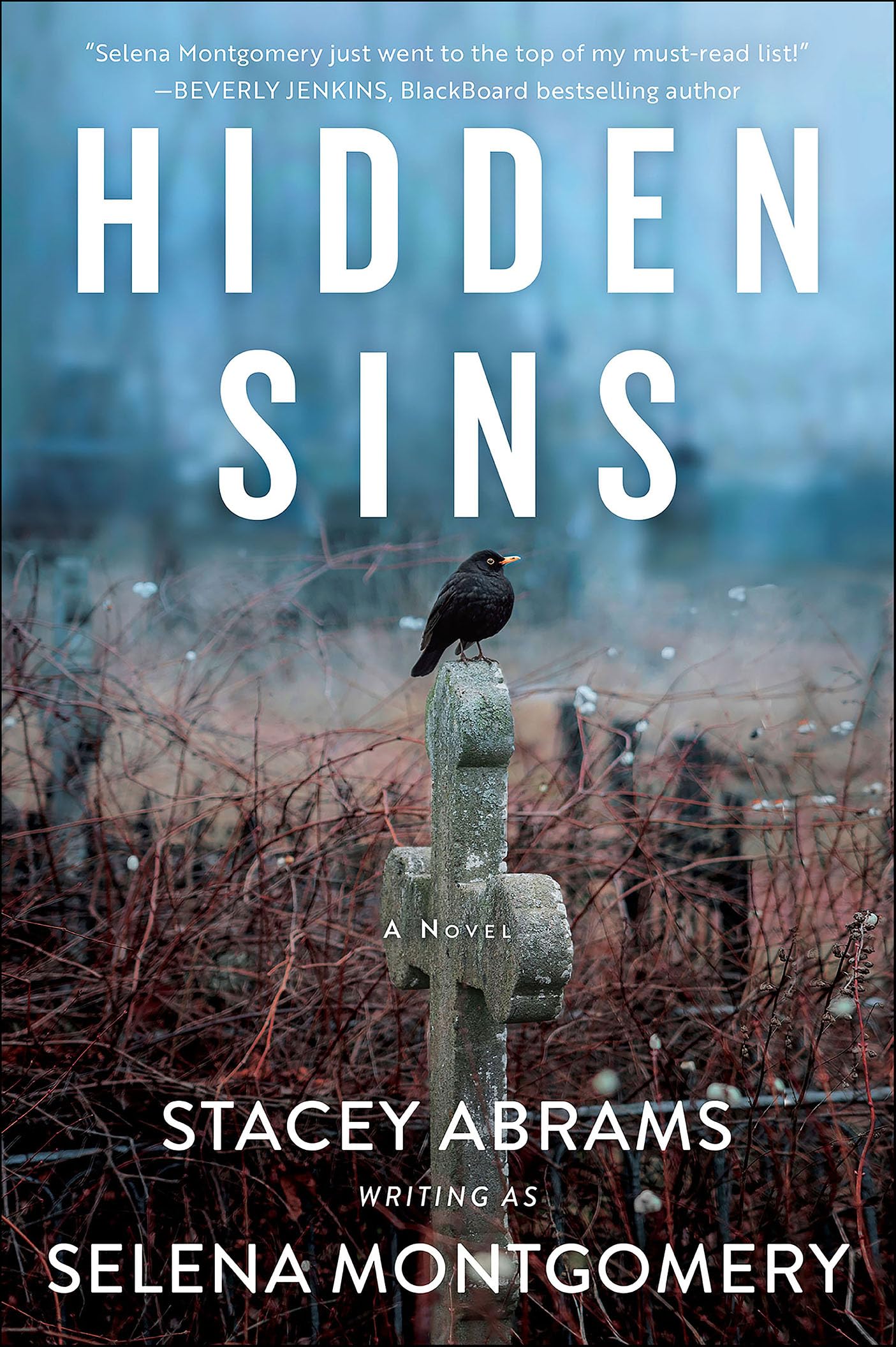 Hidden Sins: A Novel