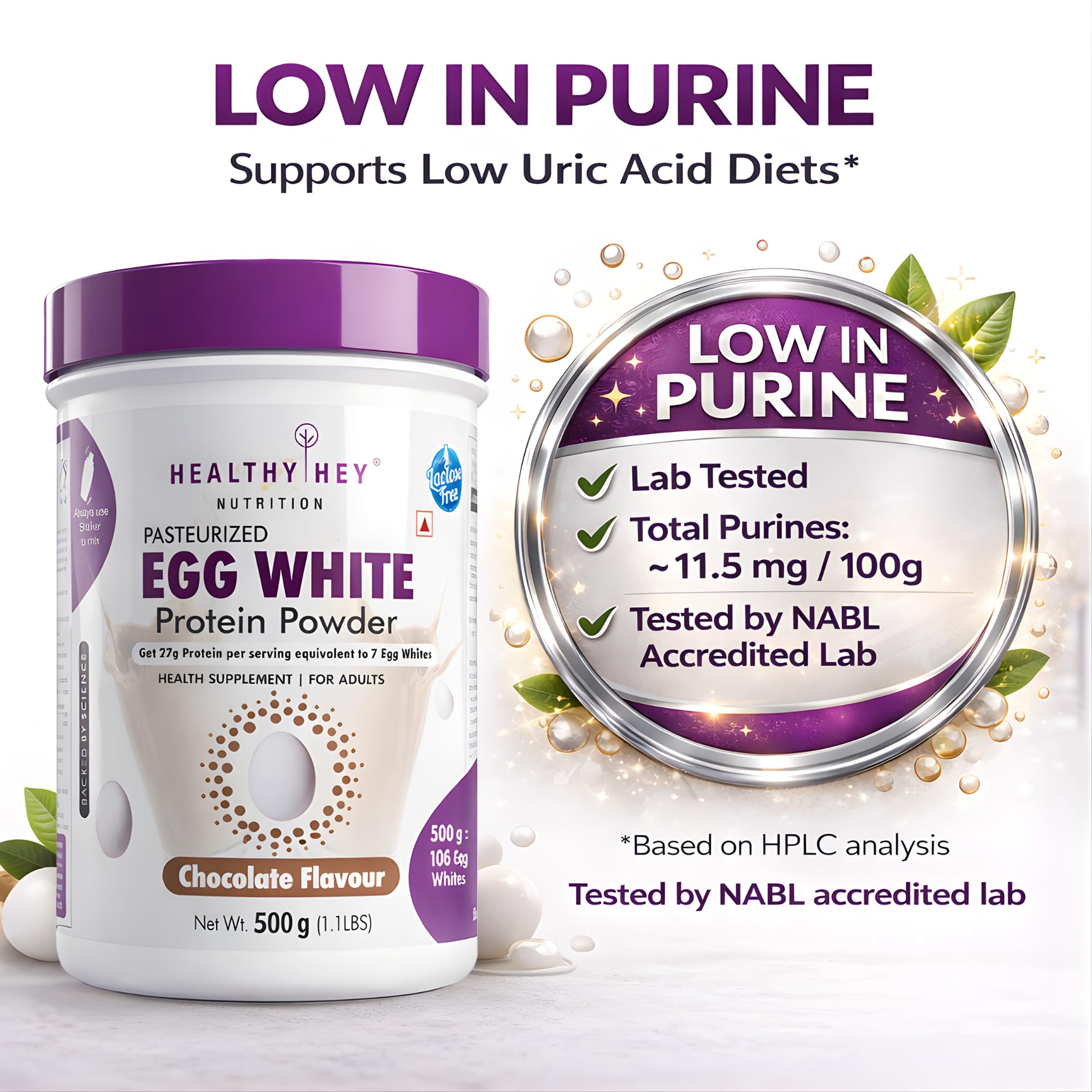 HealthyHey Nutrition 100% Egg White Protein - Low in Purine - Instant Mix - 80% Protein - Non GMO & Lactose Free - 500g (Chocolate), 15 Servings