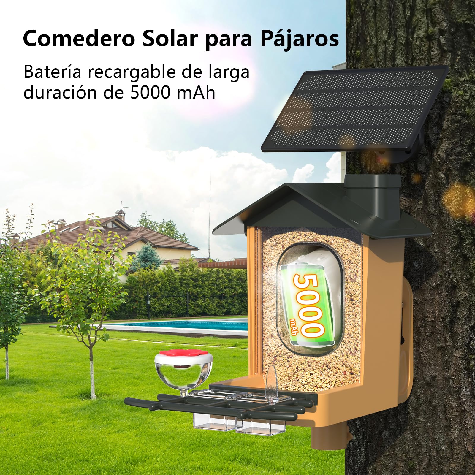 Comedero Pajaros con Cámara 2K HD AI identifica 10000+ Pájaros Solar Comedero Pajaros Exterior Notificación Instantánea Impermeable IP65 Almacenamiento en Nube Captura Automática Imagen/Videos