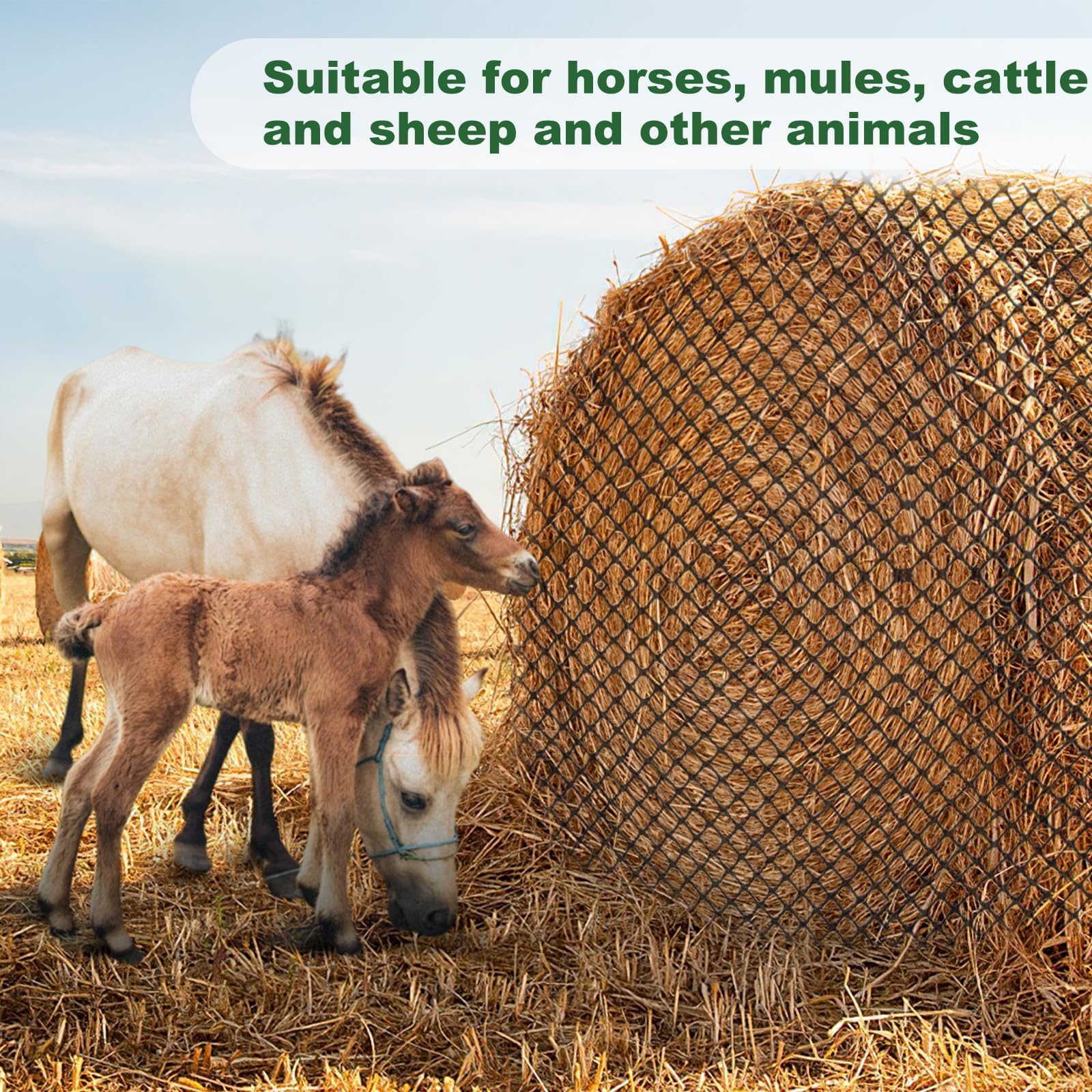 Red de heno de alimentación lenta para caballos, comedero redondo duradero sin nudos con agujeros de 2 pulgadas, red de heno resistente para caballos, ponis, burros, ganado