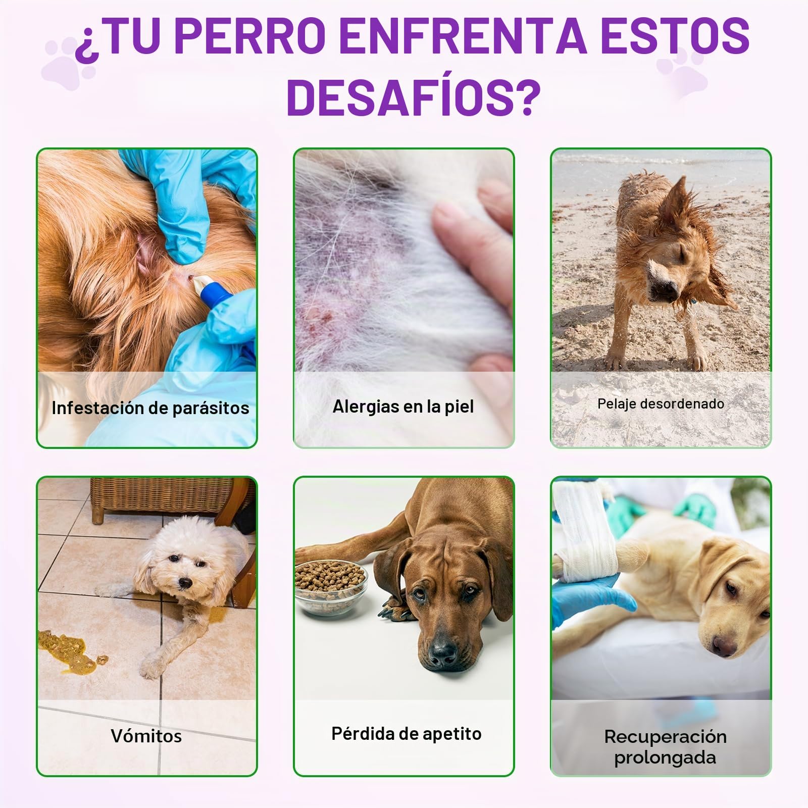 Alivio de la Alergia del Perro, Dog Allergy Relief Treats, Snacks Antialérgicos para Perros, Alivia la Picazón, el lamido, el Rascado y la Depilación, Refuerza la Inmunidad, Alergia e Inmunidad Perros