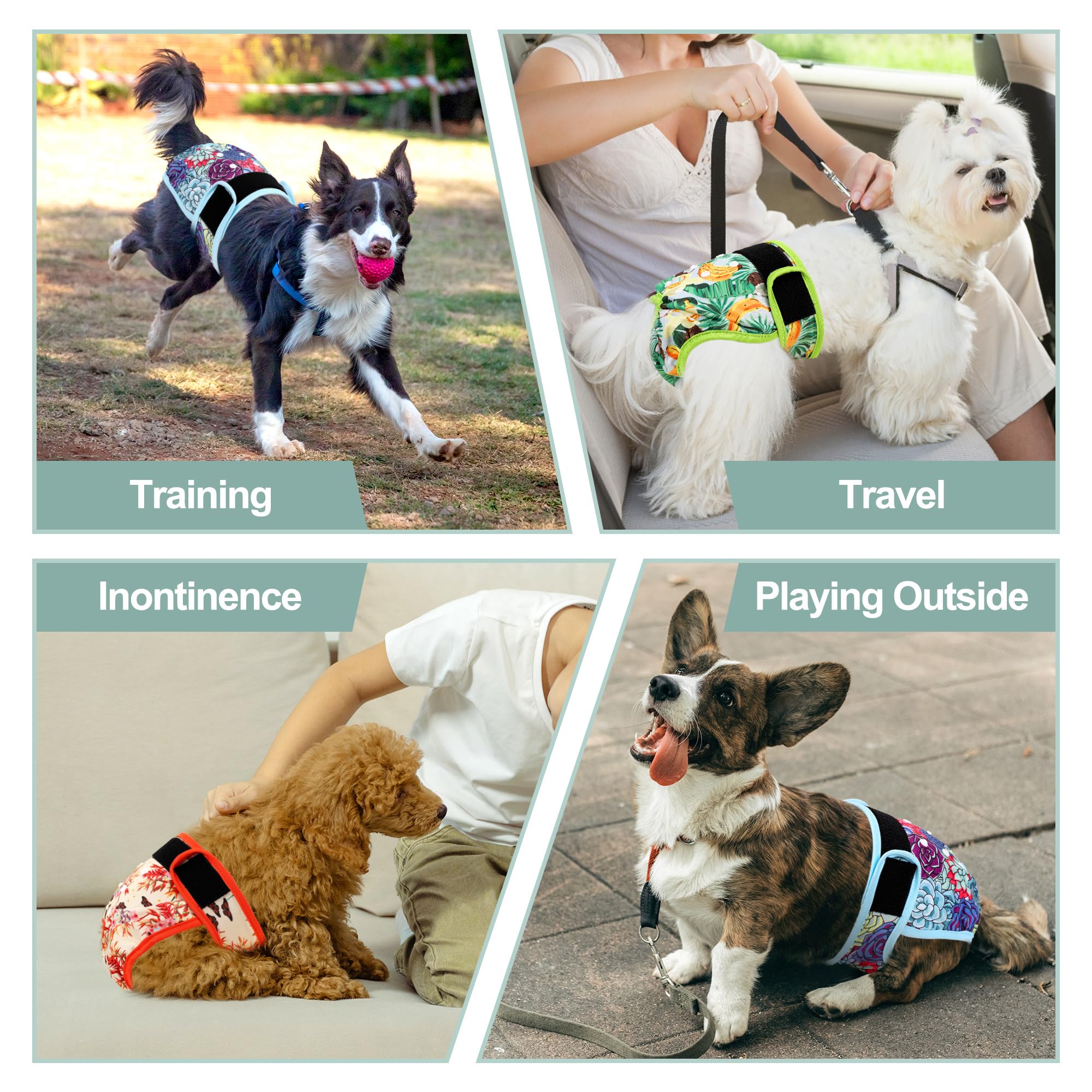 Pañales lavables para perras, pañales reutilizables de alta calidad para perritas en celo, pañales altamente absorbentes para incontinencia de mascotas con broches ajustables (succulentos, L)