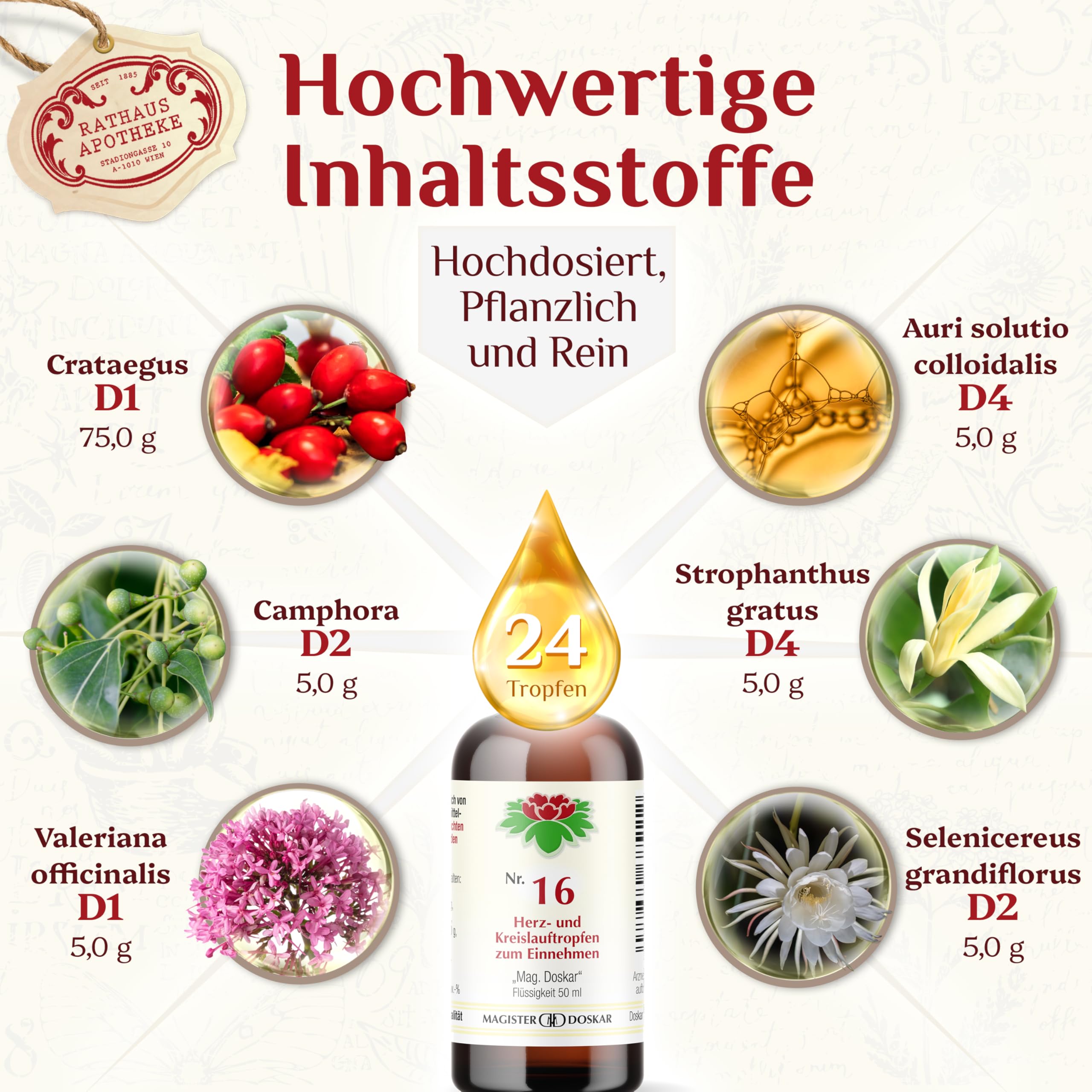 Tropfen Nr.16 - Homöopathische Herz- und Kreislauftropfen, 50 ml - reduziert Schwindelgefühle-Zur Unterstützung der Herzfunktion-Fördert die Durchblutung - natürliche Pflanzenextrakte