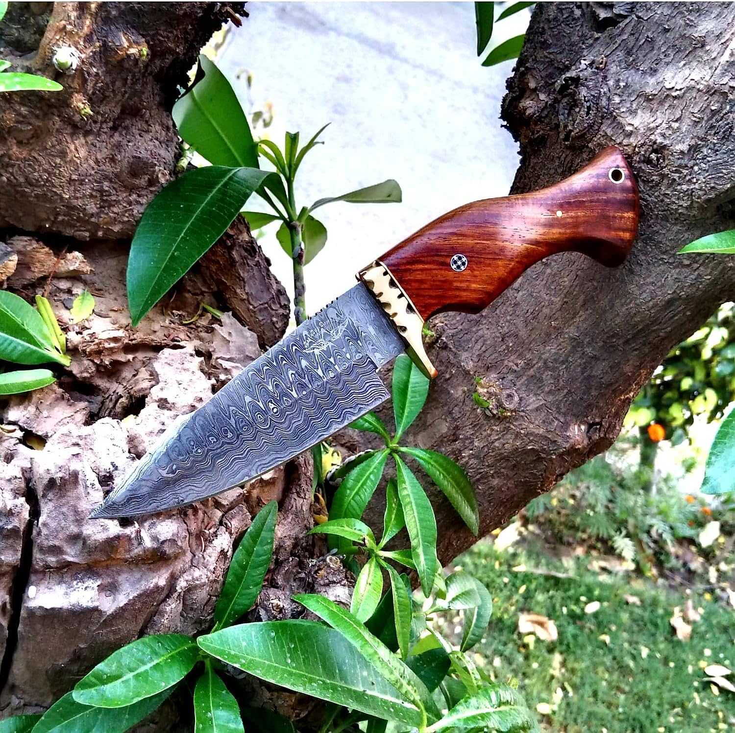 Handmade Damascus Steel 10" Rose Wooden Handel Fixed Blade Hunting Bowie Knife Best for Outdoor & Indoor Camping Hunting Fixed Blade Knife